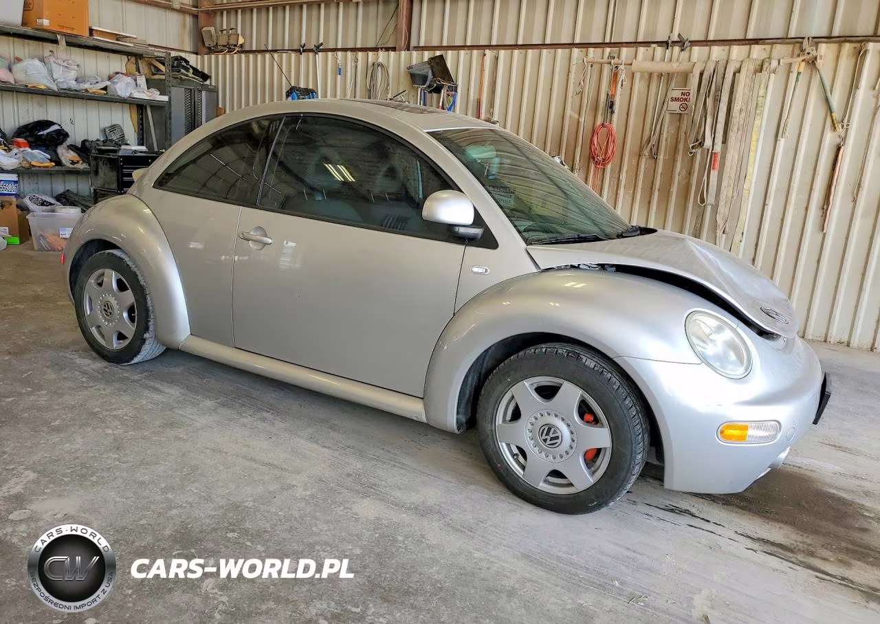 2000 Volkswagen New Beetle Glx VIN:3VWDD21C6YM495045 - 4