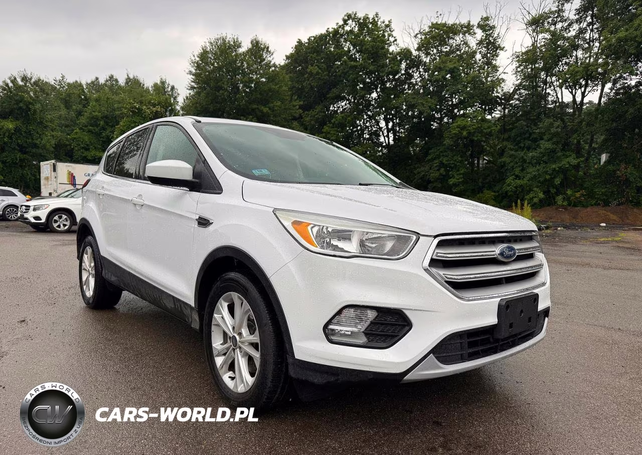 2019 Ford Escape Se