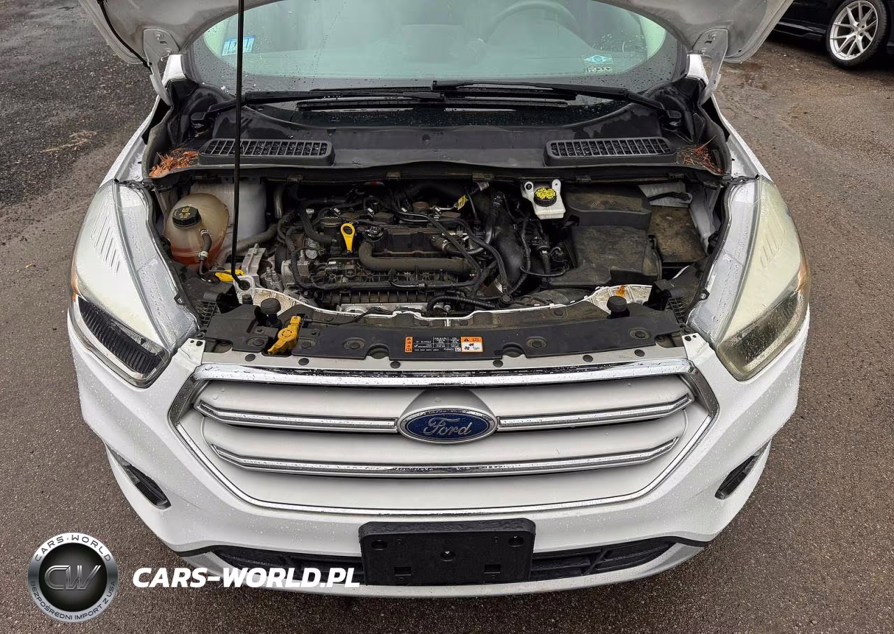 2019 Ford Escape Se VIN:1FMCU9GD6KUA84055 - 7