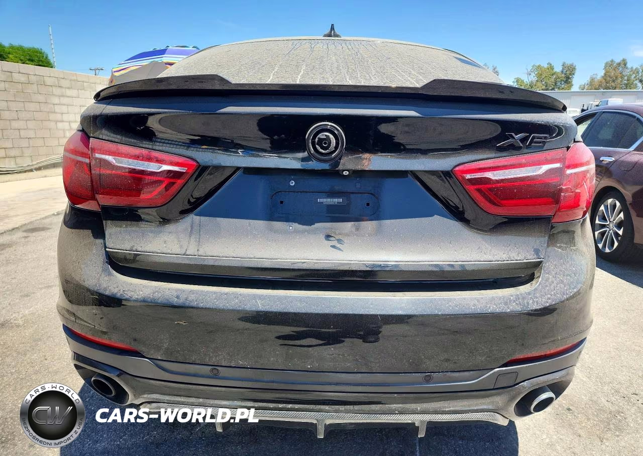 2015 BMW X6 Sdrive35I VIN:5UXKU0C56F0F91725 - 6