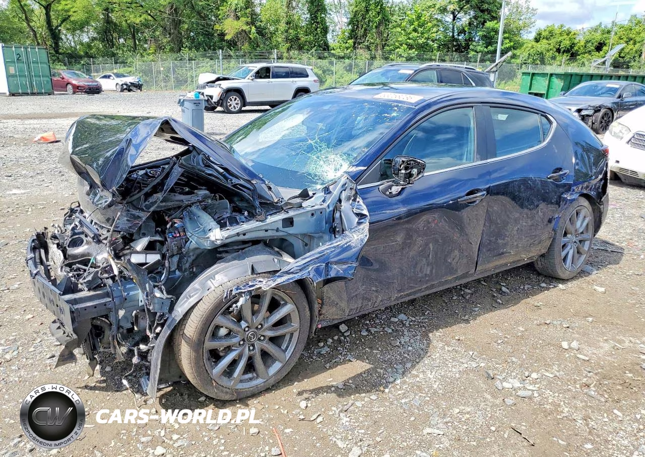 2019 Mazda 3 VIN:JM1BPAJMXK1117609 - 1