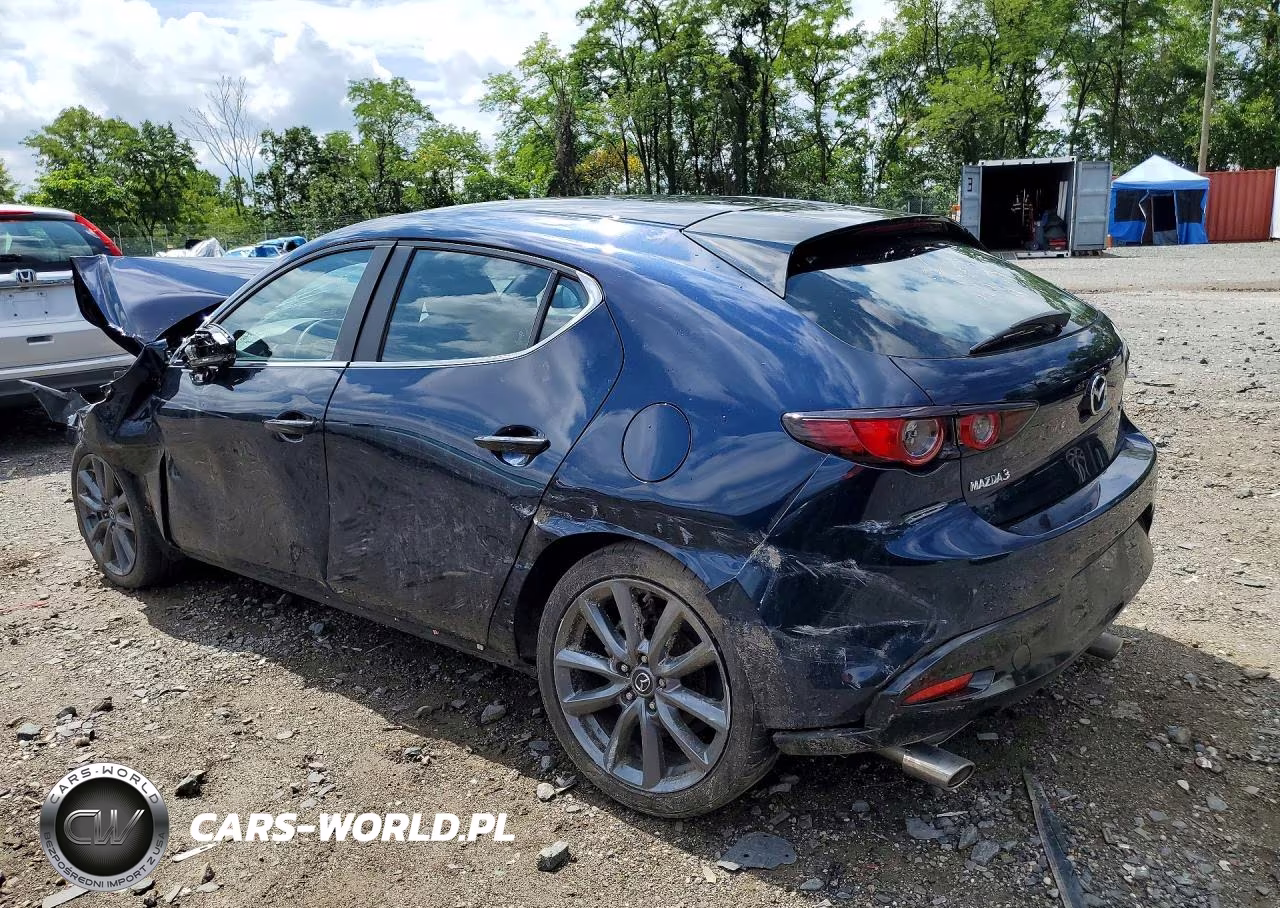 2019 Mazda 3 VIN:JM1BPAJMXK1117609 - 2