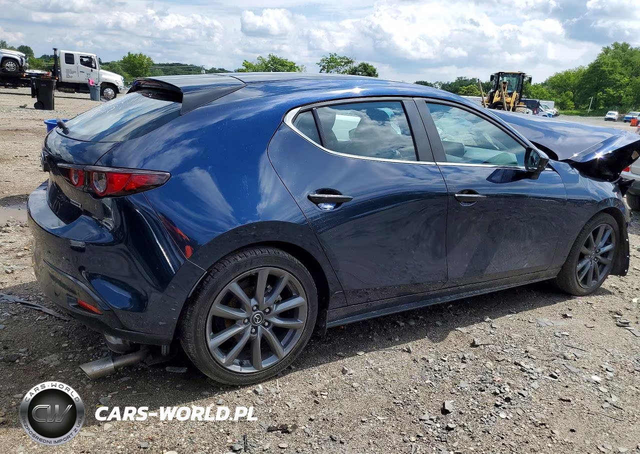 2019 Mazda 3 VIN:JM1BPAJMXK1117609 - 3