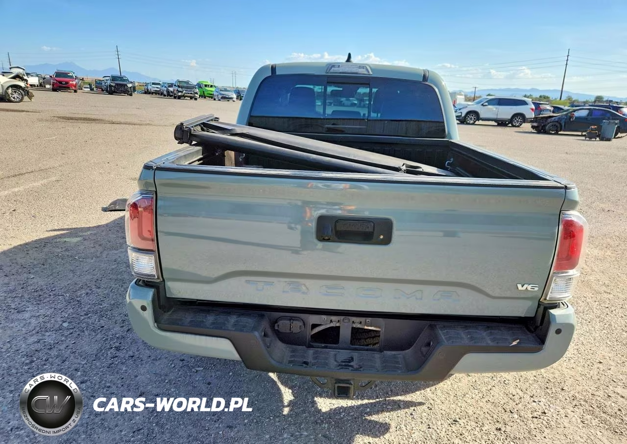 2023 Toyota Tacoma Trd Off-Road VIN:3TYCZ5AN4PT173896 - 6