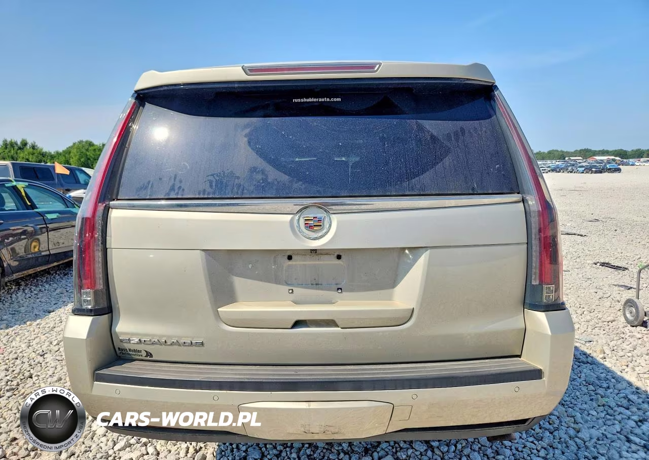 2015 Cadillac Escalade Premium VIN:1GYS4CKJ6FR282065 - 6