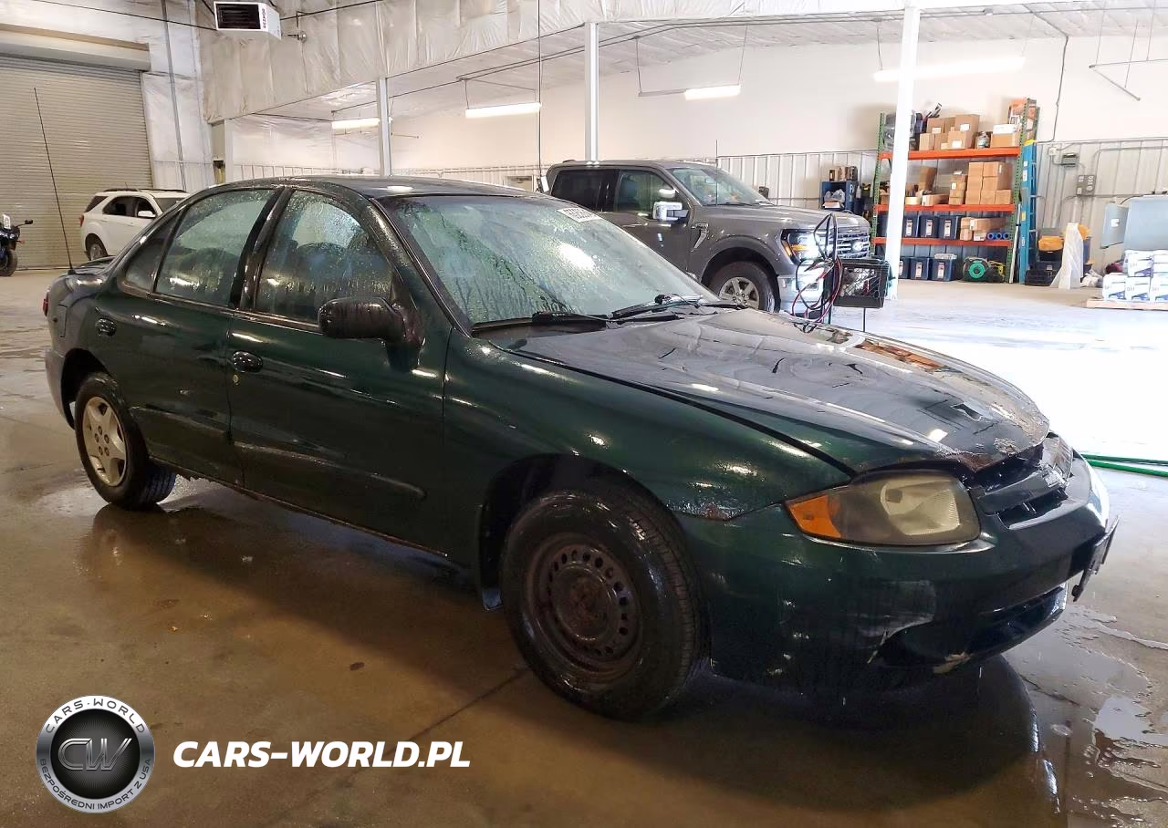 2004 Chevrolet Cavalier VIN:1G1JC52F247160459 - 4