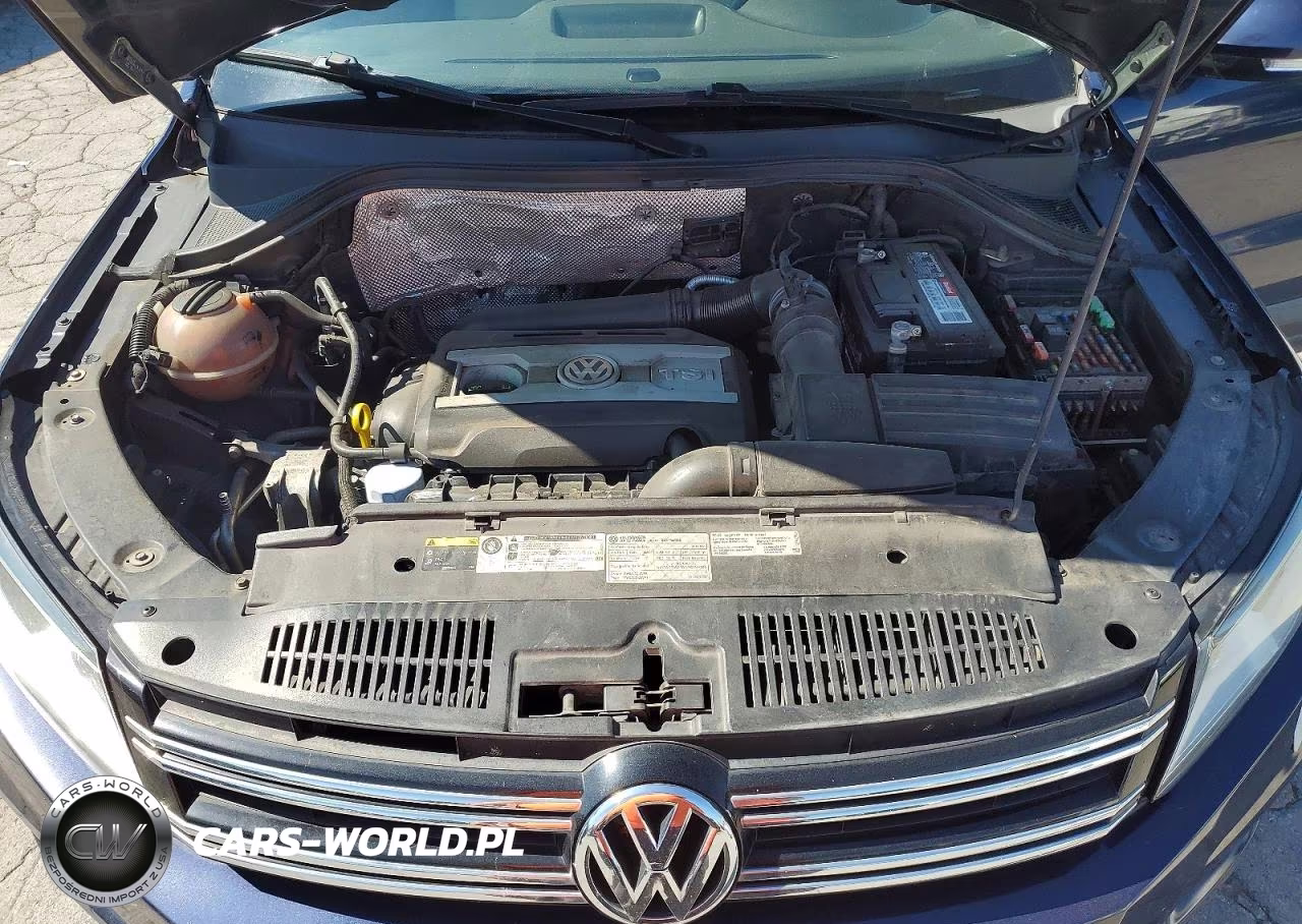2016 Volkswagen Tiguan S VIN:WVGAV7AX7GW586595 - 12