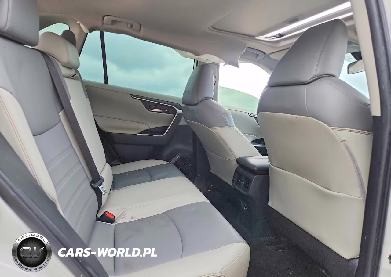2019 Toyota Rav4 Xle Premium VIN:JTMC1RFV6KD015972 - 10