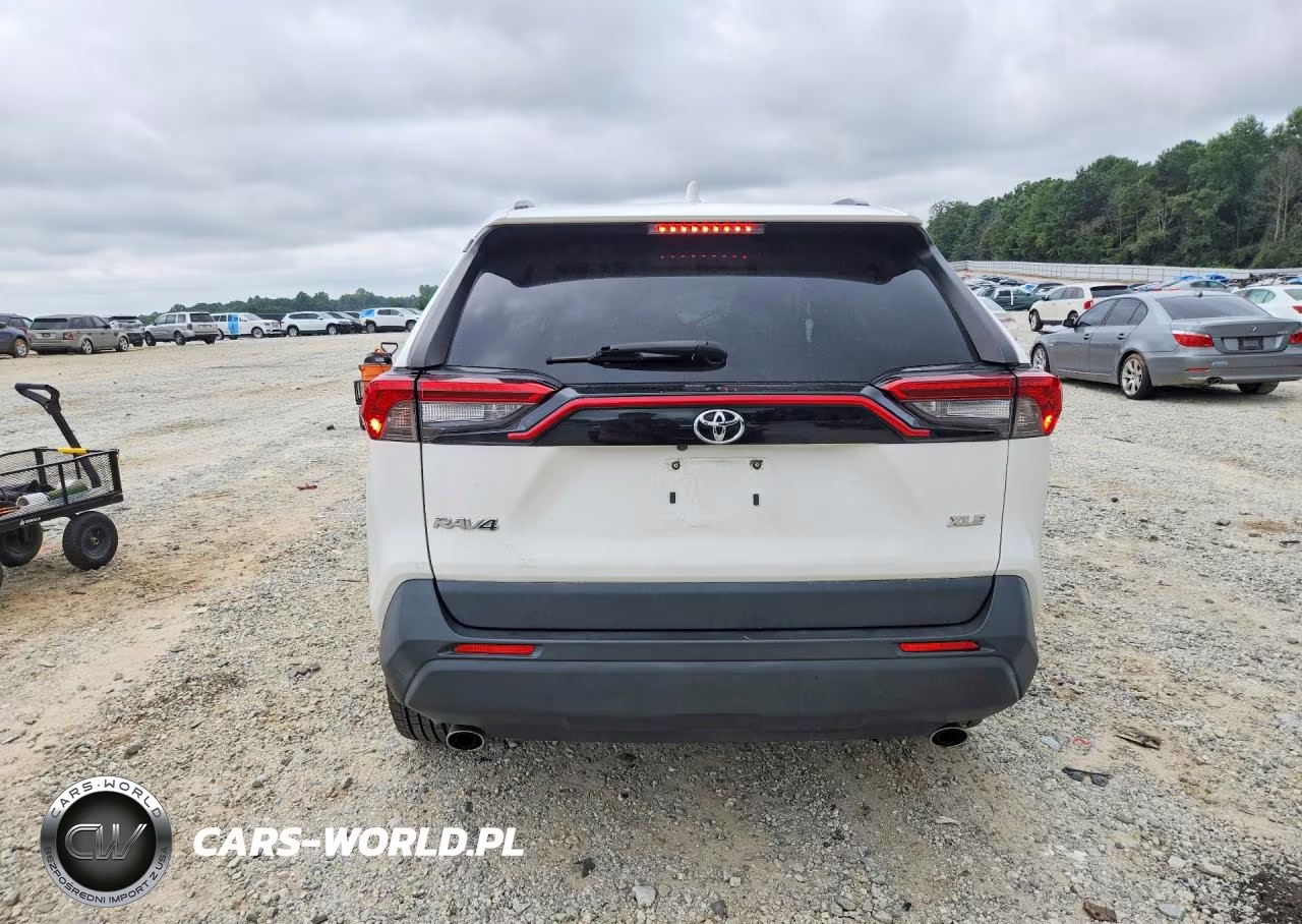 2019 Toyota Rav4 Xle Premium VIN:JTMC1RFV6KD015972 - 6