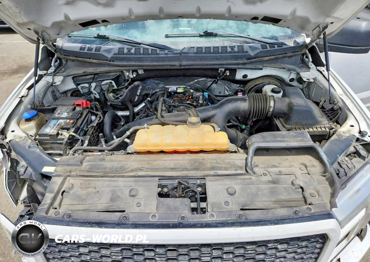 2019 Ford F150 Supercrew VIN:1FTEW1CP7KKC14087 - 11