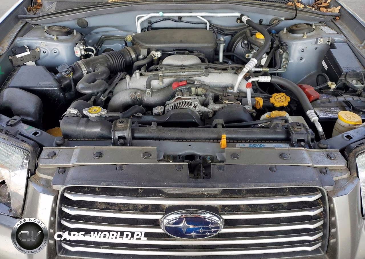 2006 Subaru Forester 2.5X Premium VIN:JF1SG65606H709886 - 11