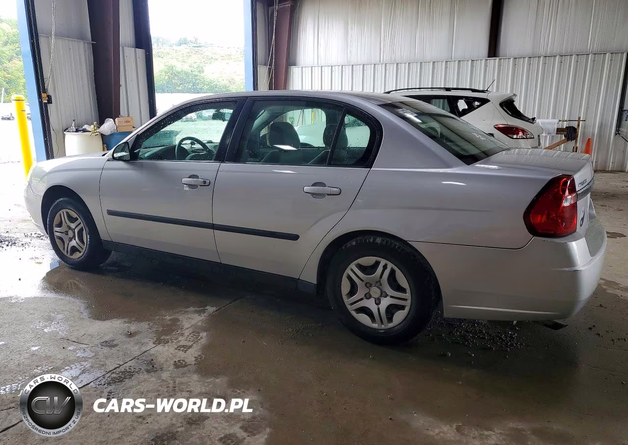 2004 Chevrolet Malibu VIN:1G1ZS52F44F226439 - 2
