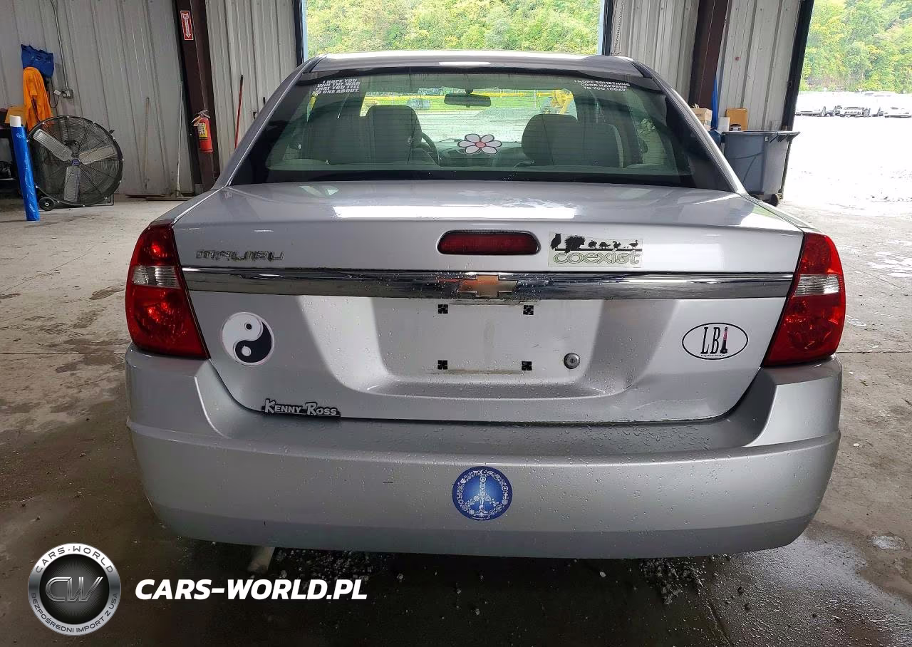2004 Chevrolet Malibu VIN:1G1ZS52F44F226439 - 6