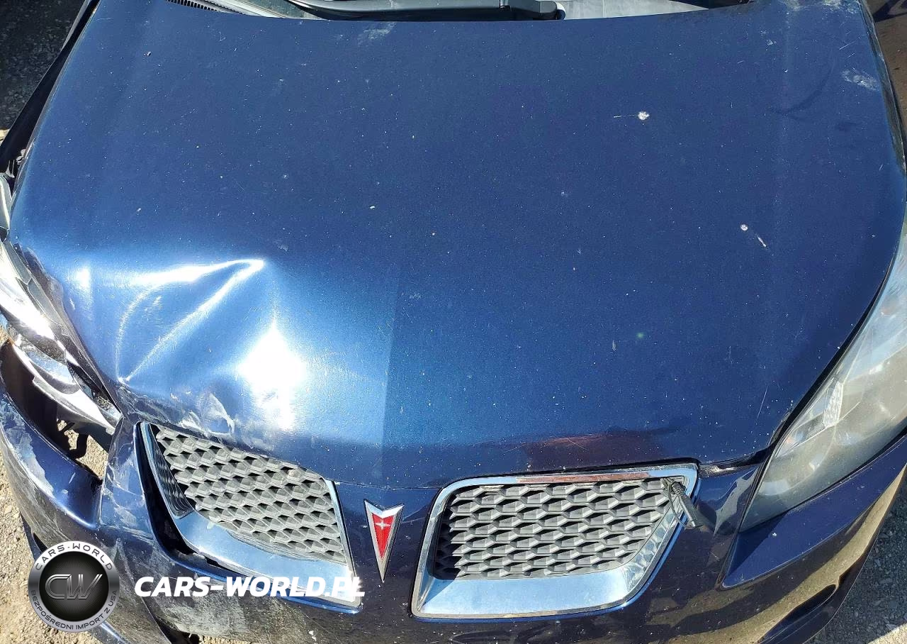 2010 Pontiac Vibe Gt VIN:5Y2SR6E02AZ415554 - 12