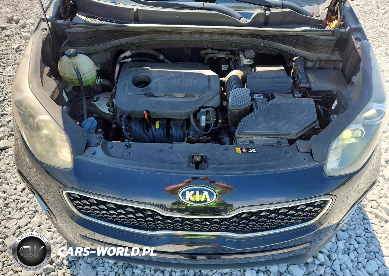 2018 Kia Sportage Ex VIN:KNDPN3AC1J7424614 - 12