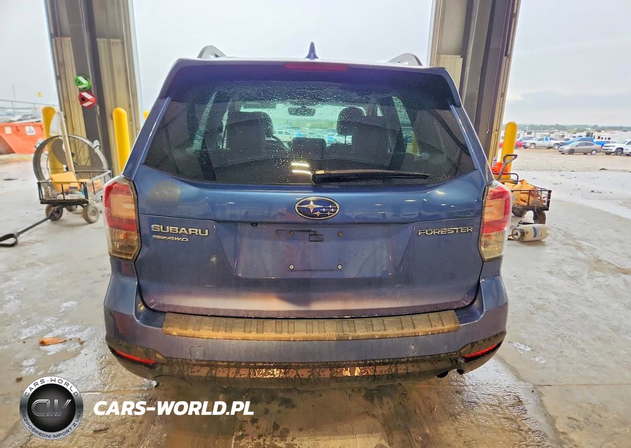2018 Subaru Forester 2.5I Premium VIN:JF2SJAEC5JH428116 - 6