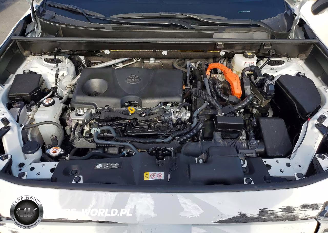 2025 Toyota Rav4 Hybrid Xle VIN:JTMRWRFV3SD333026 - 12