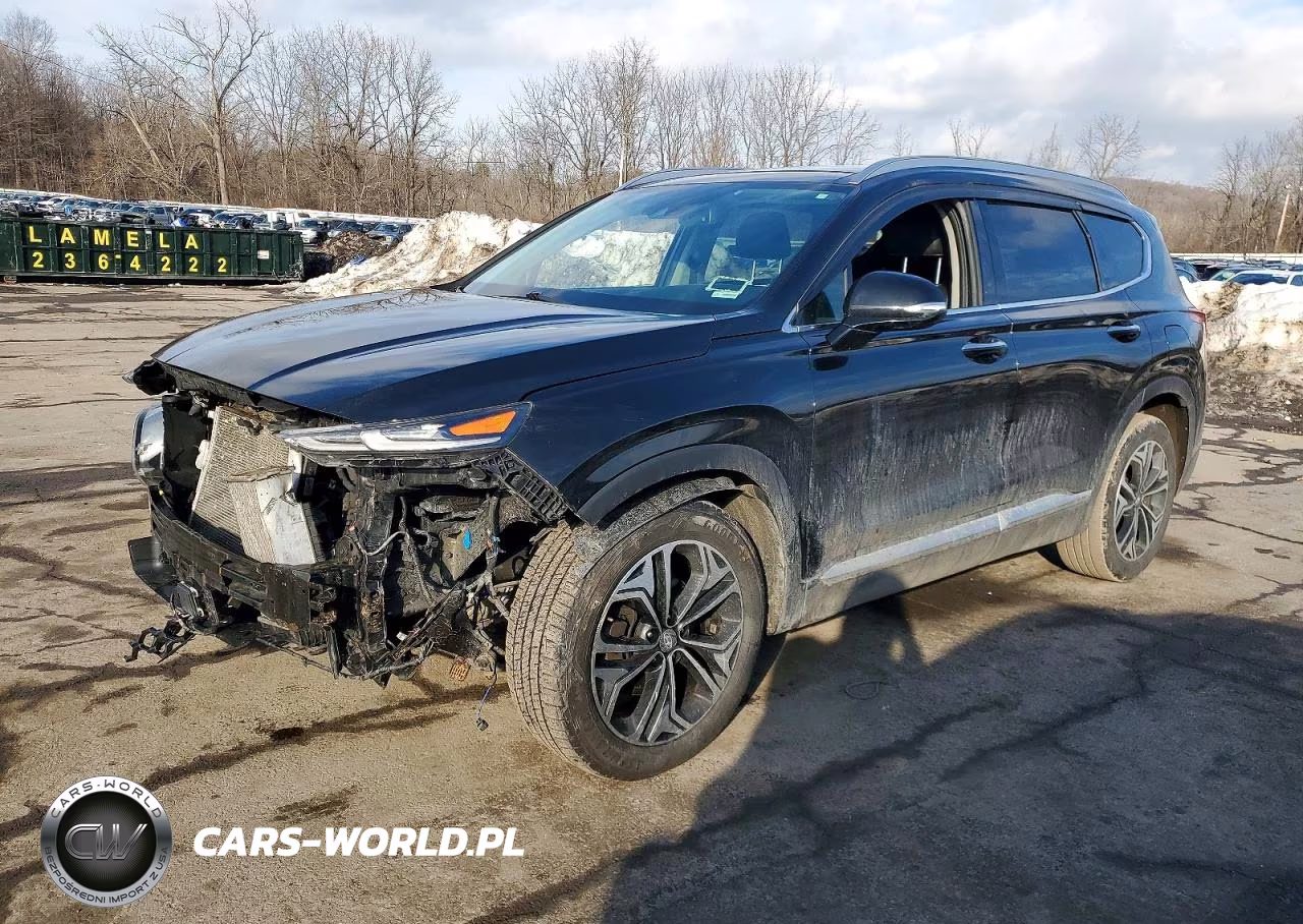2020 Hyundai Santa Fe Sel VIN:5NMS3CAA1LH297941 - 2