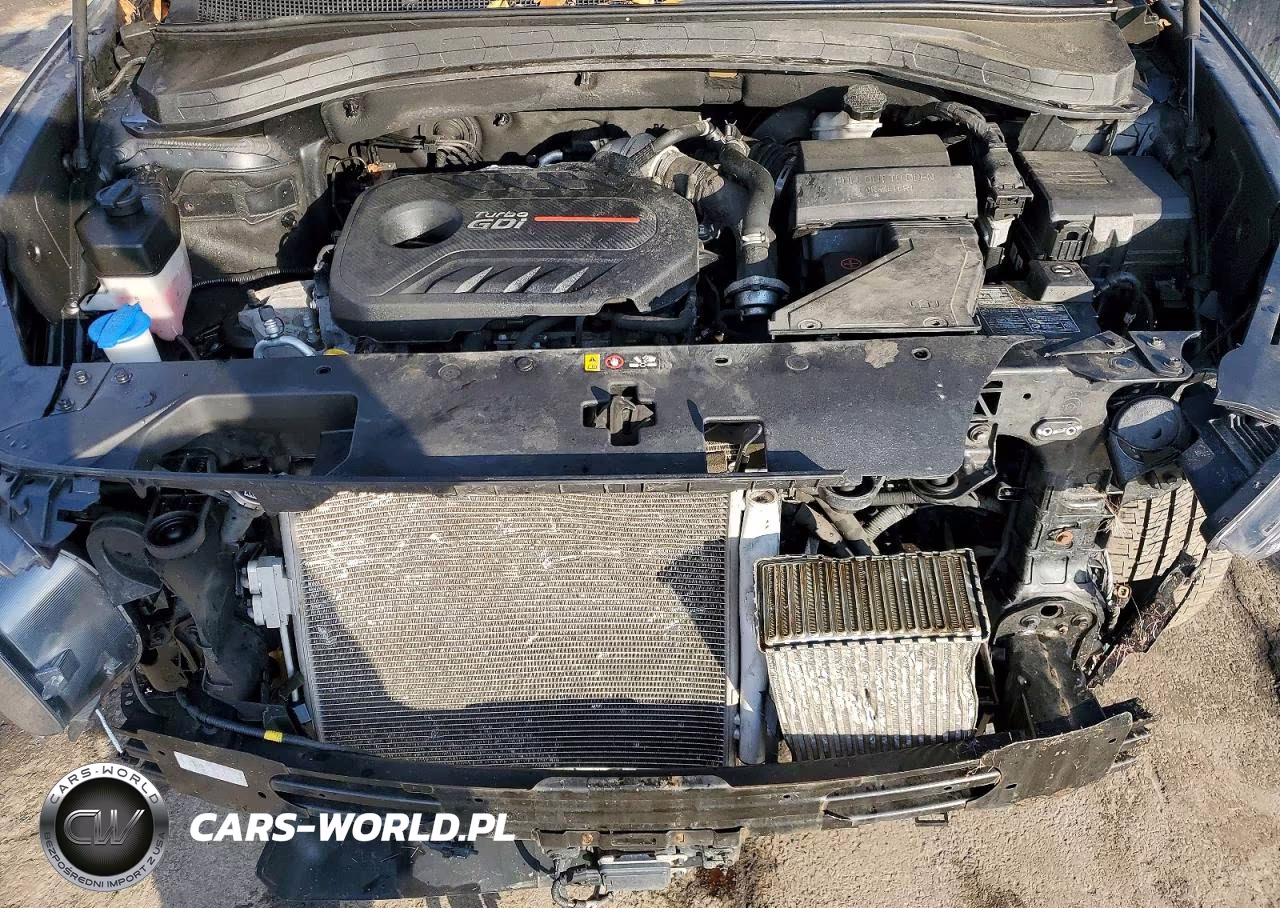 2020 Hyundai Santa Fe Sel VIN:5NMS3CAA1LH297941 - 24