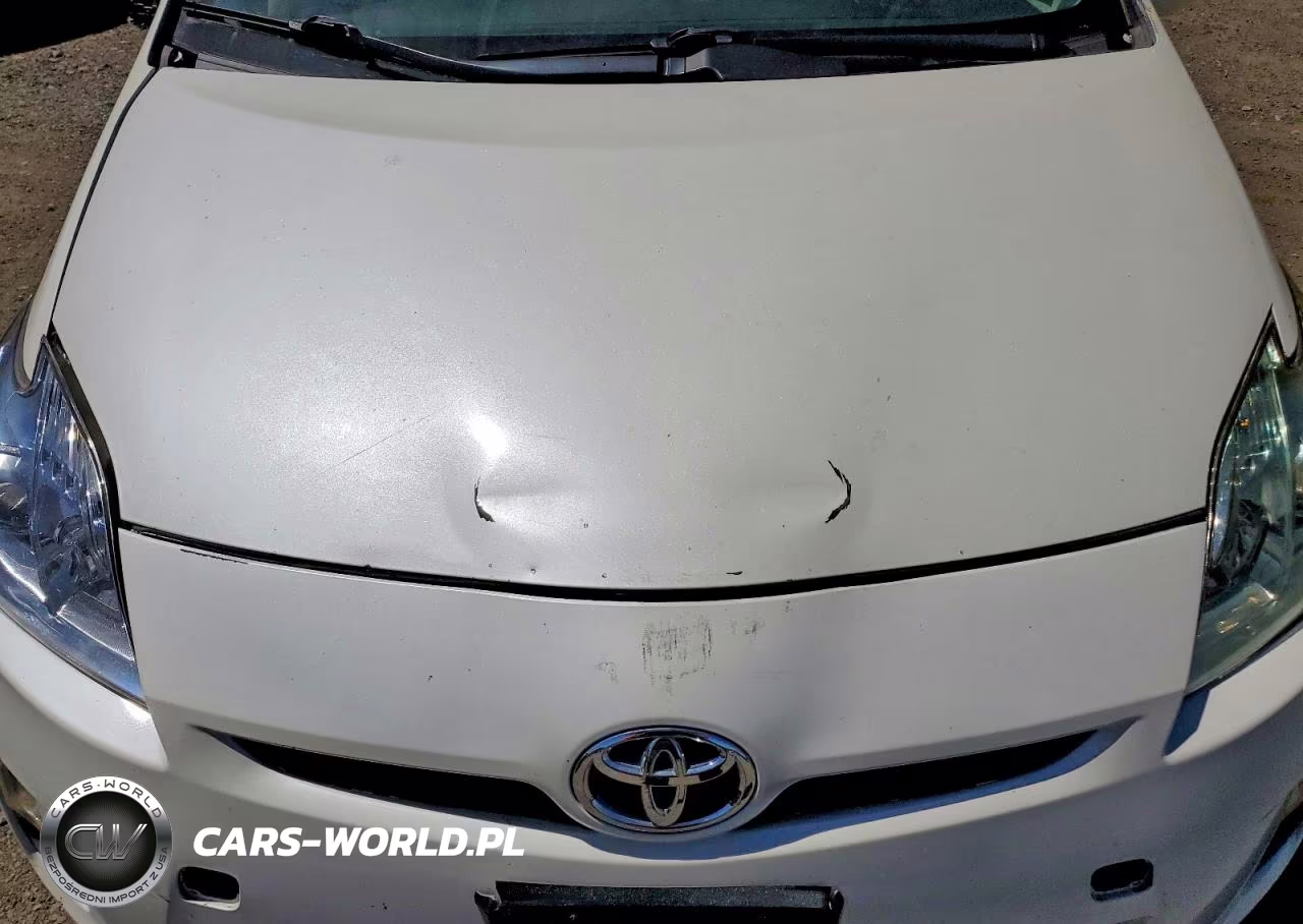 2011 Toyota Prius VIN:JTDKN3DU9B0296020 - 21