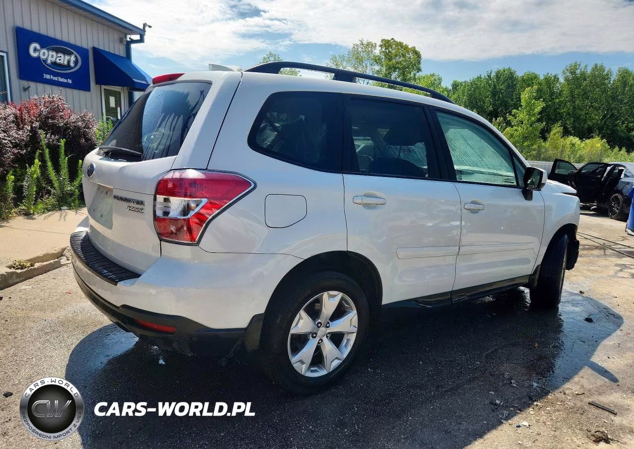 2016 Subaru Forester 2.5I Premium VIN:JF2SJAFC4GH555317 - 3