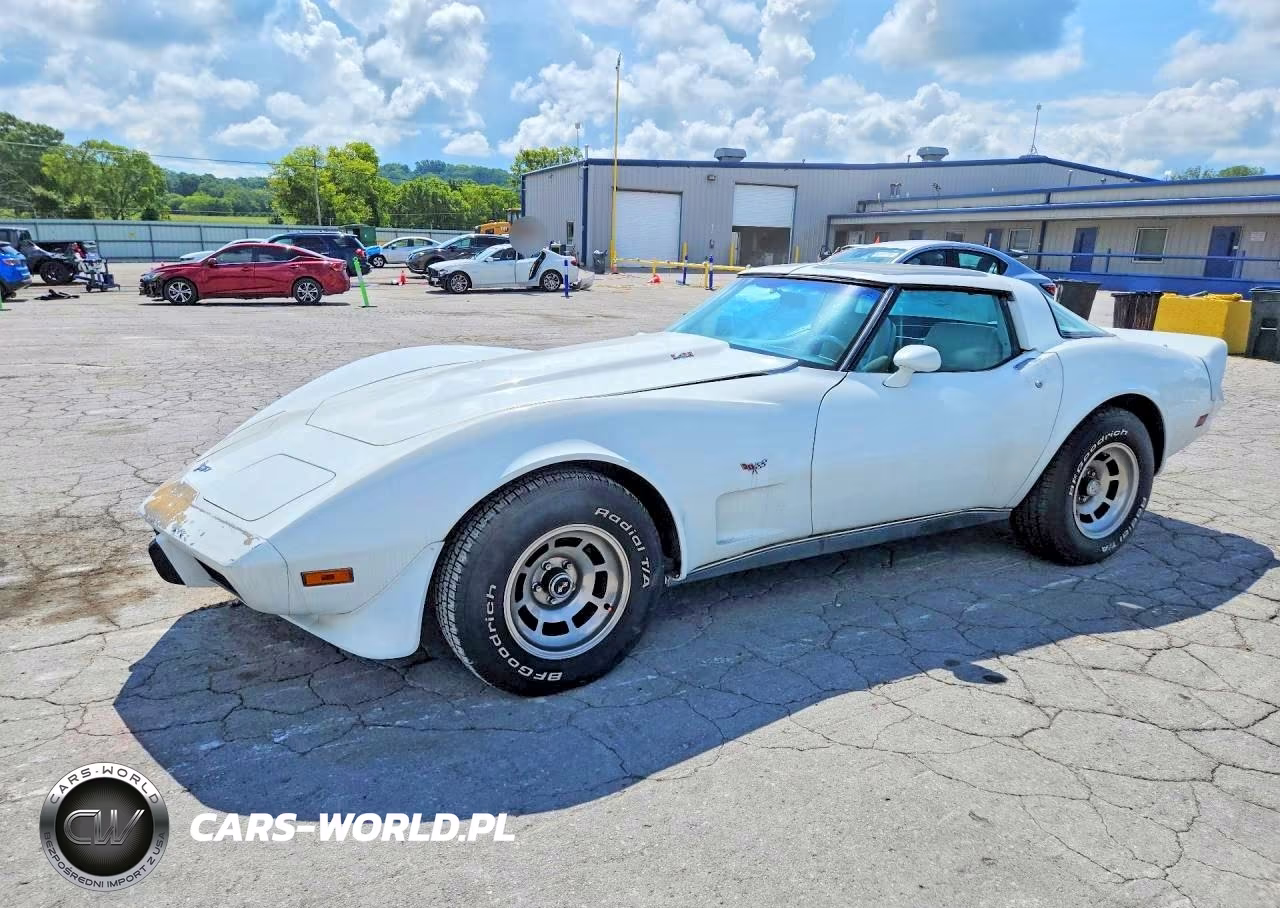 1979 Chevrolet Corvette – zdjęcie 1 z 12