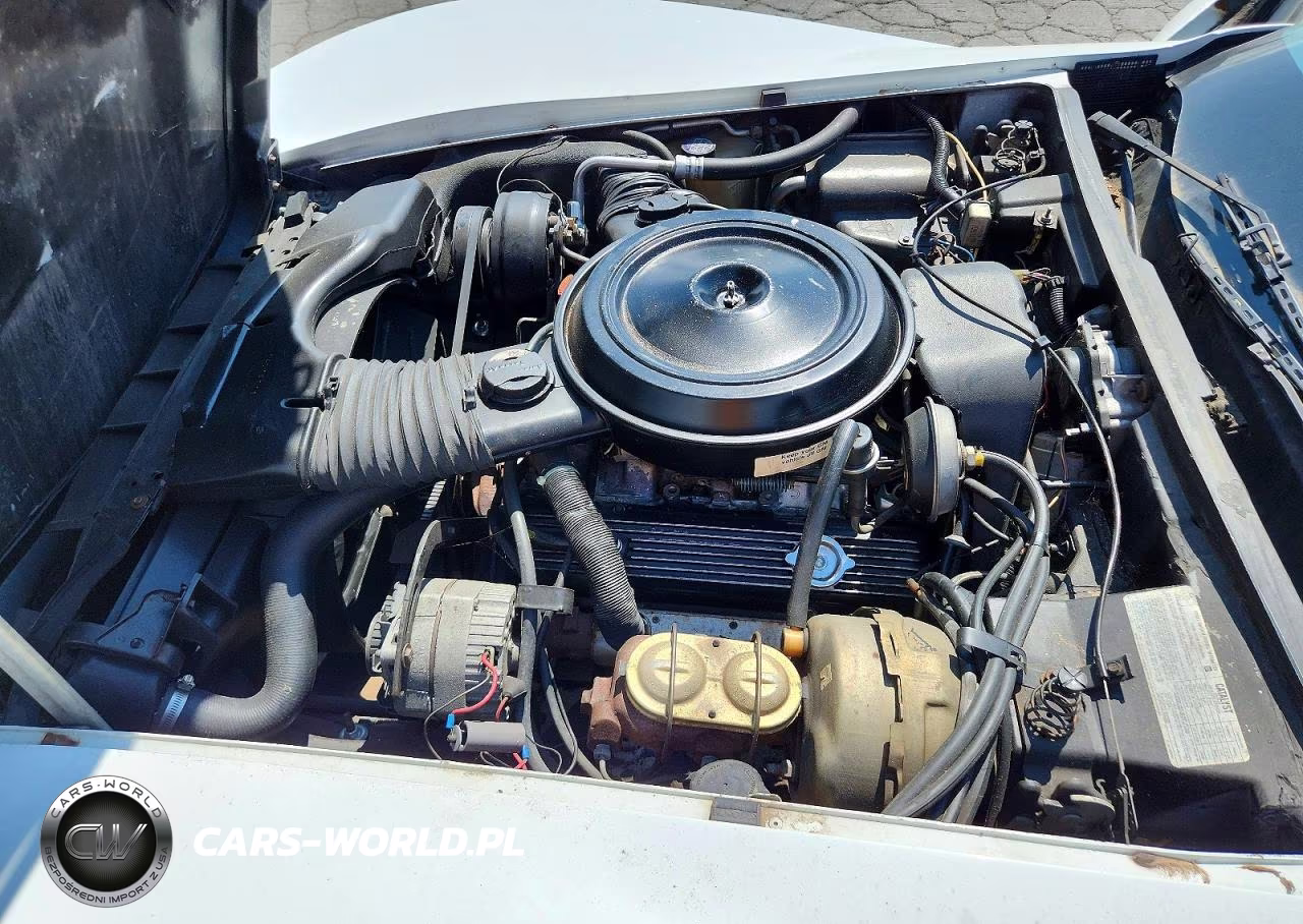 1979 Chevrolet Corvette VIN:1Z8749S419324 - 11