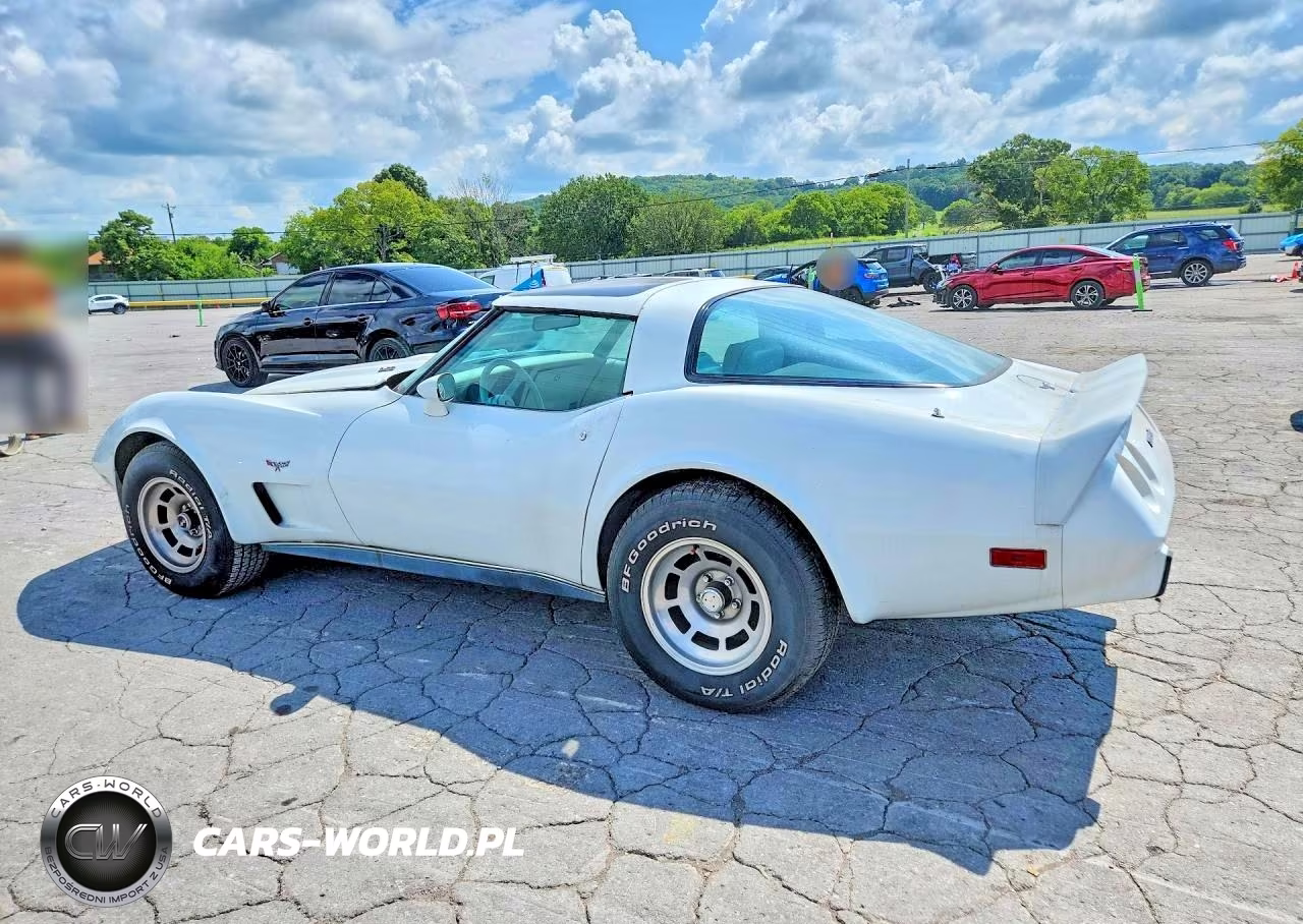 1979 Chevrolet Corvette VIN:1Z8749S419324 - 2
