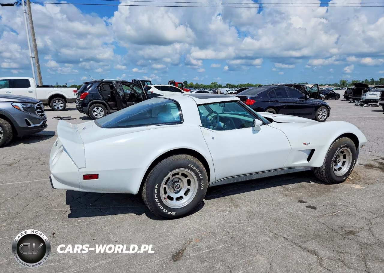 1979 Chevrolet Corvette VIN:1Z8749S419324 - 3