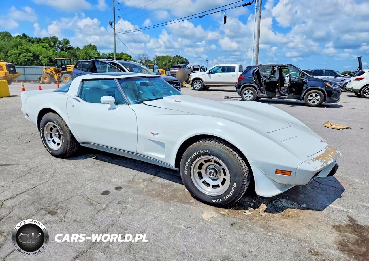 1979 Chevrolet Corvette VIN:1Z8749S419324 - 4