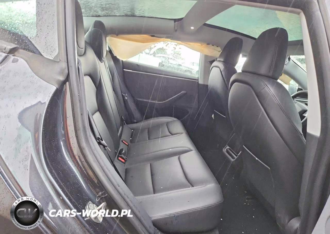 2024 Tesla Model 3 VIN:5YJ3E1EA5RF769484 - 10
