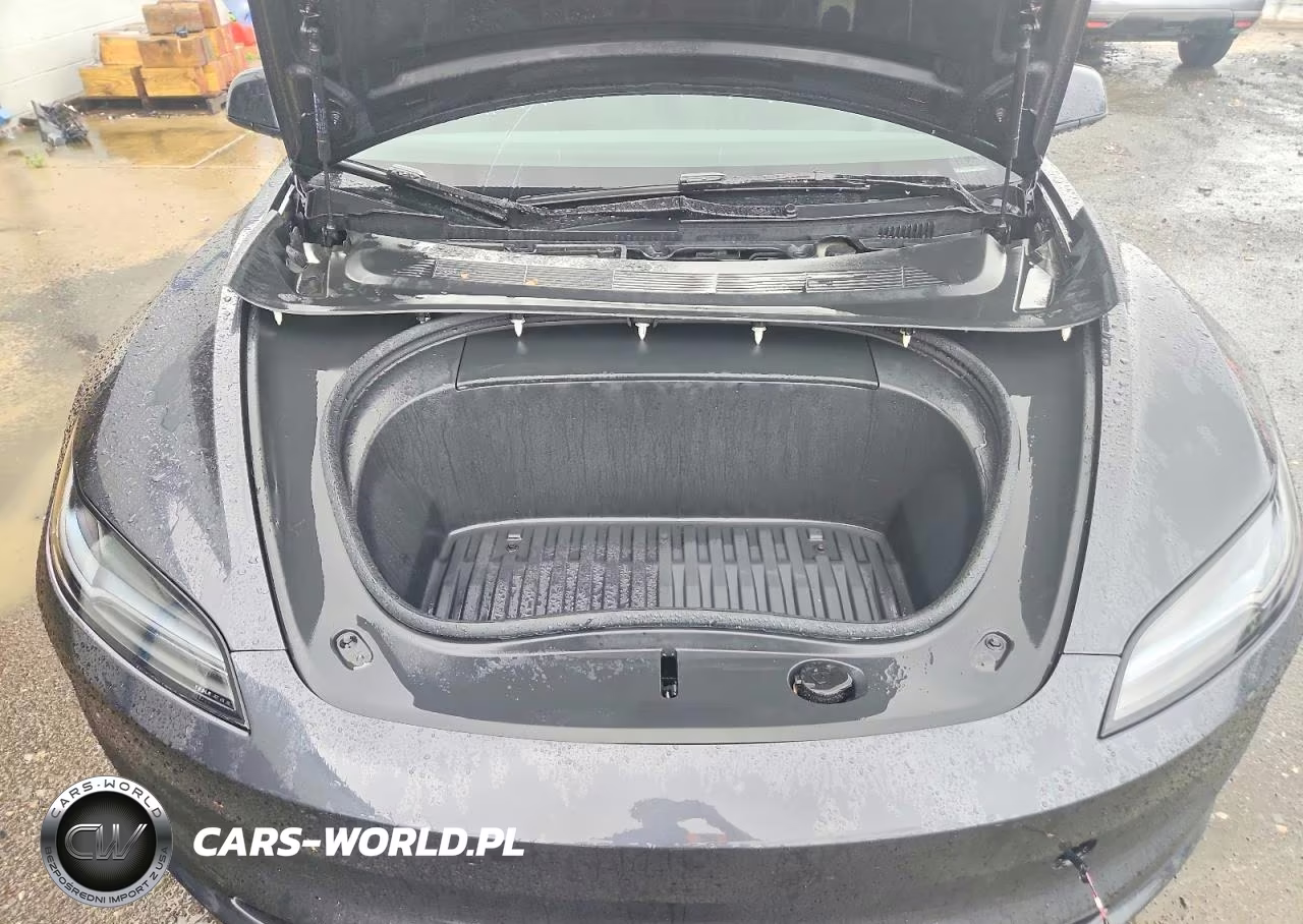 2024 Tesla Model 3 VIN:5YJ3E1EA5RF769484 - 11
