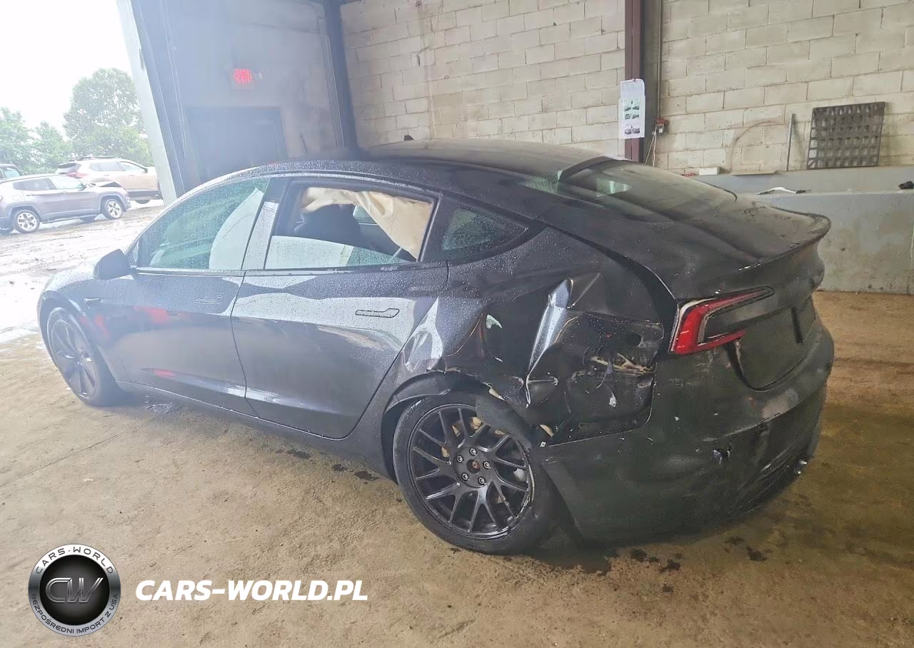 2024 Tesla Model 3 VIN:5YJ3E1EA5RF769484 - 2