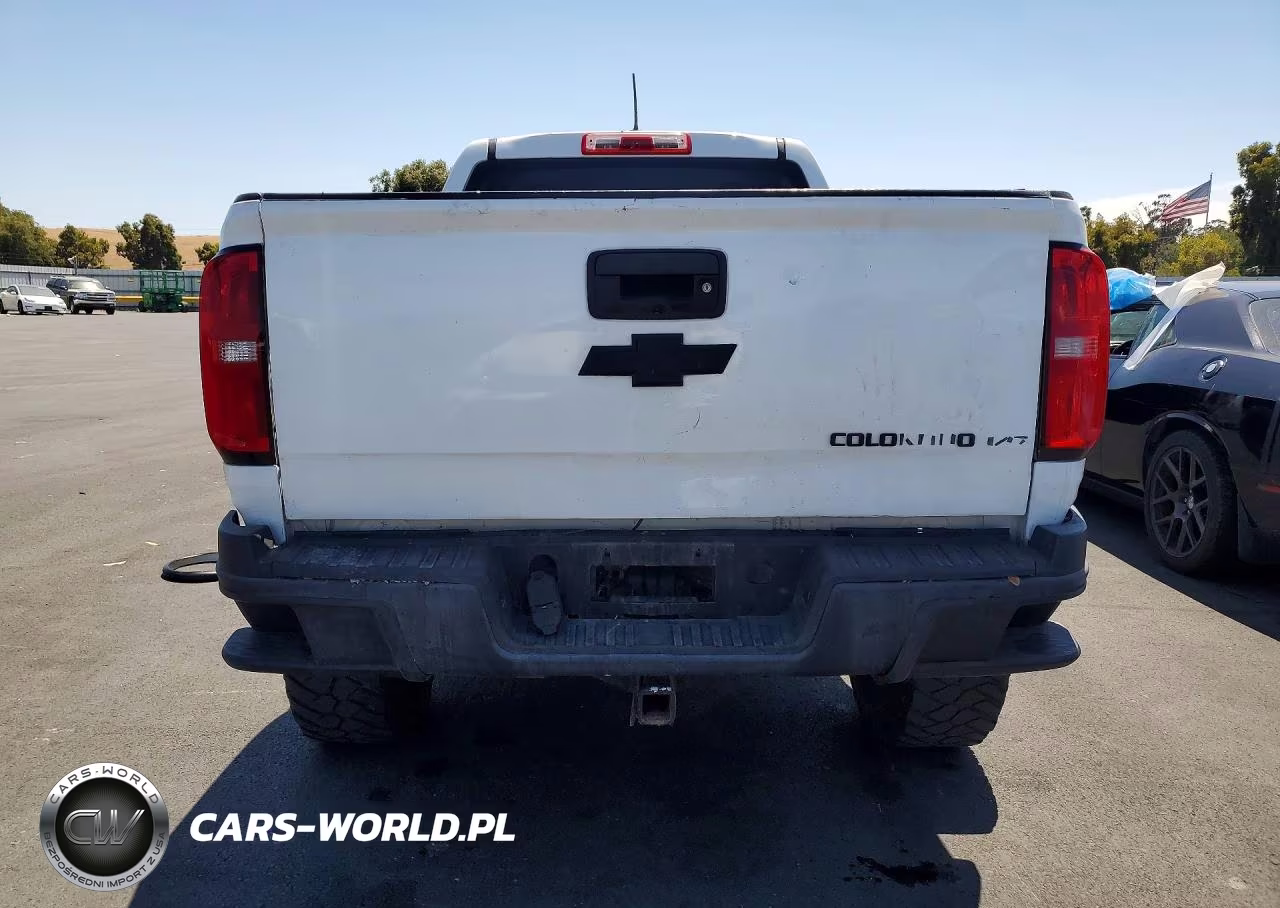 2019 Chevrolet Colorado VIN:1GCGTBEN0K1163007 - 6