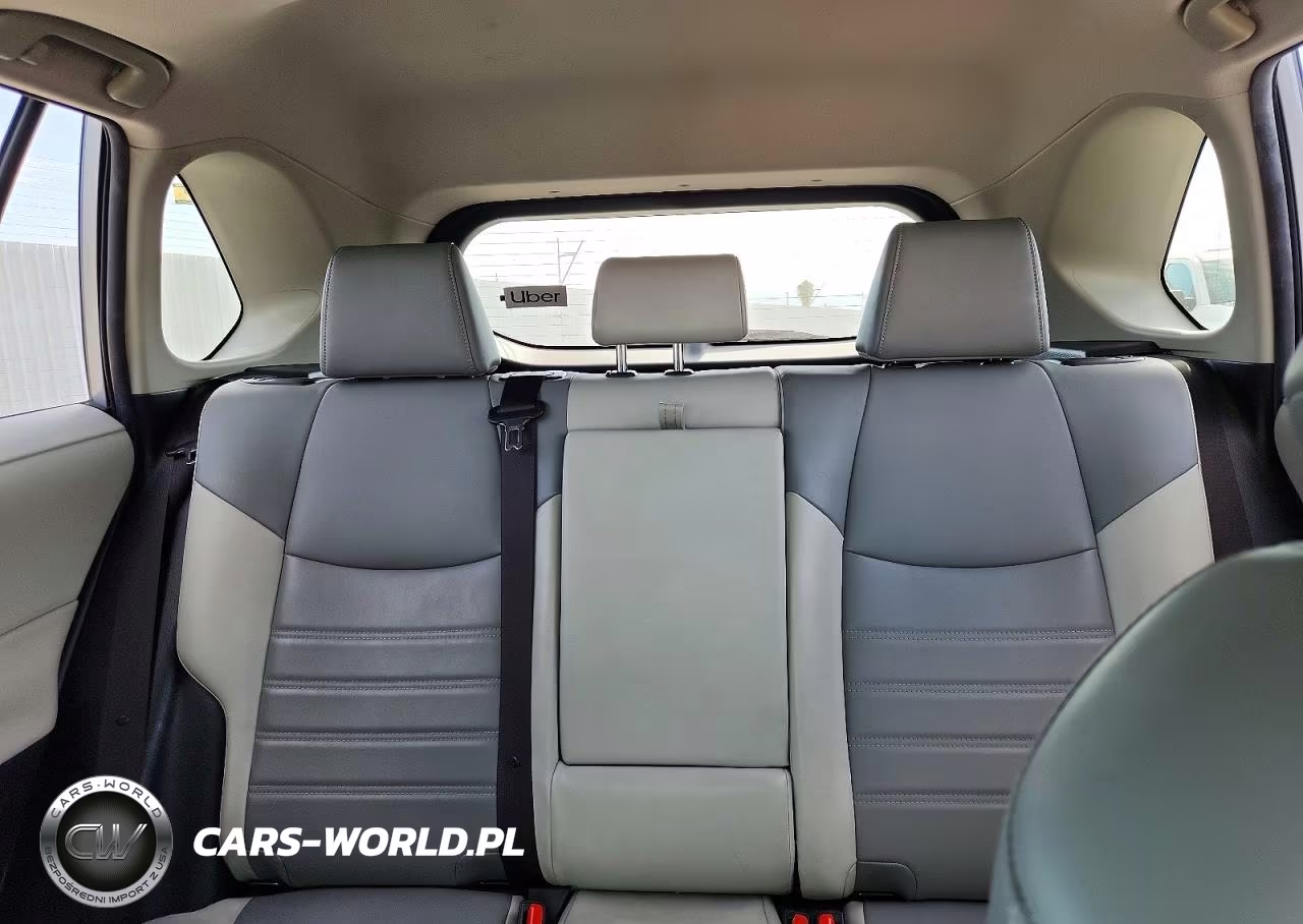2019 Toyota Rav4 Xle Premium VIN:JTMA1RFV5KD511515 - 10