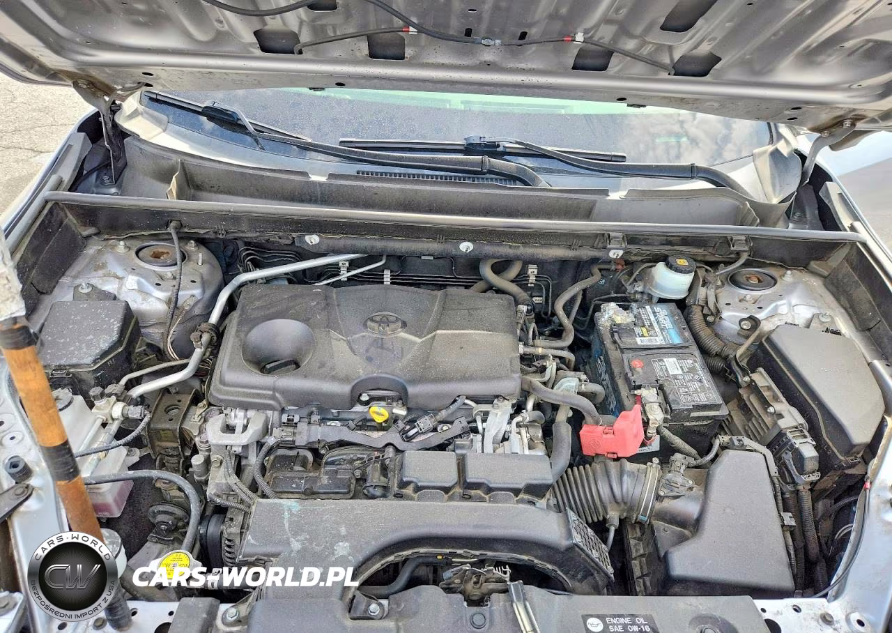 2019 Toyota Rav4 Xle Premium VIN:JTMA1RFV5KD511515 - 12