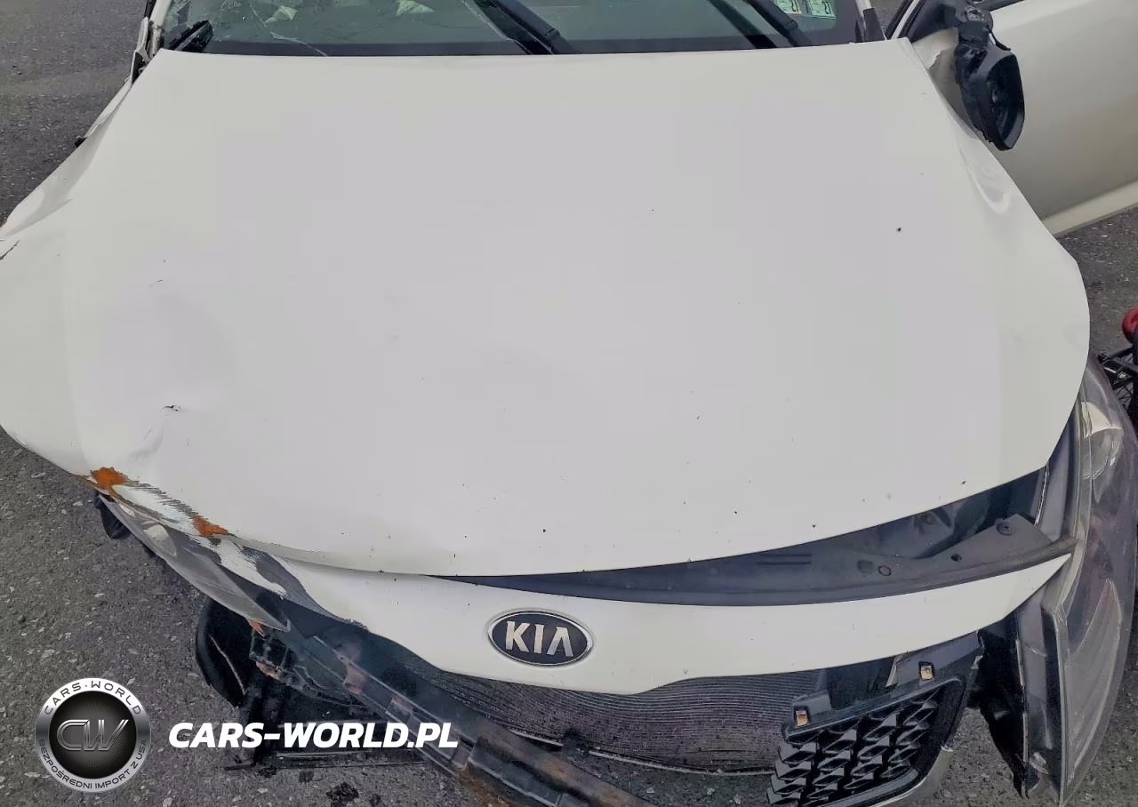2013 Kia Optima Lx VIN:KNAGM4A75D5433843 - 11