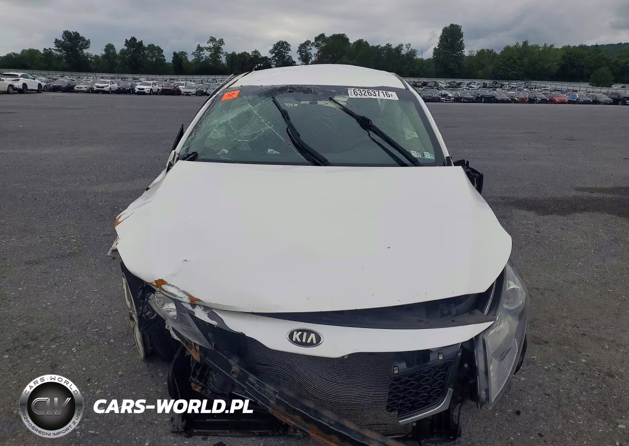 2013 Kia Optima Lx VIN:KNAGM4A75D5433843 - 5