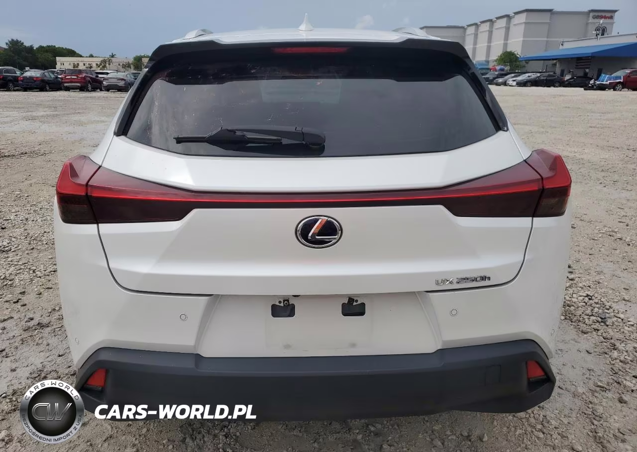 2021 Lexus Ux 250H VIN:JTHP9JBH8M2048836 - 6