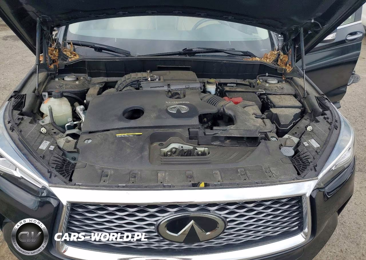 2020 Infiniti Qx50 Luxe VIN:3PCAJ5M30LF115853 - 12