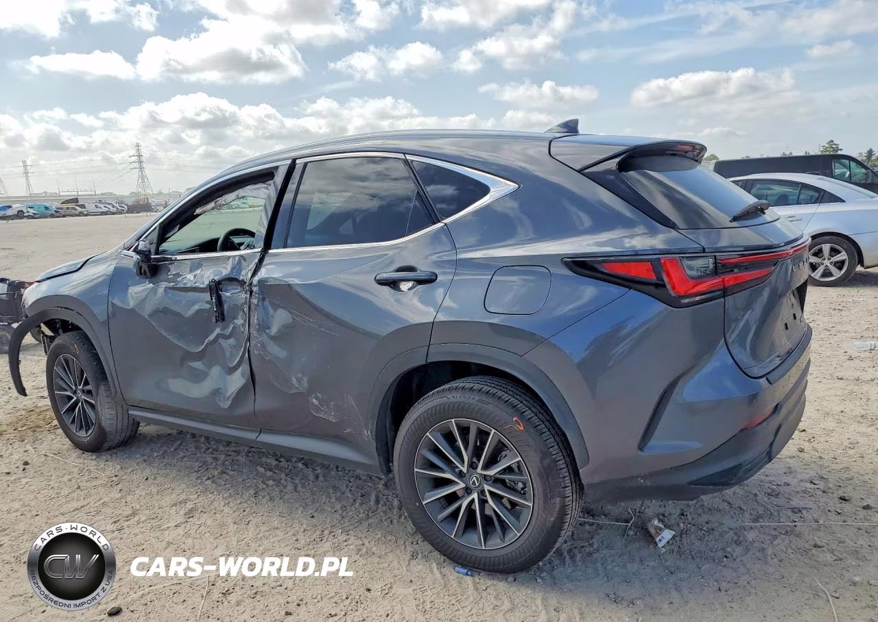 2025 Lexus Nx 250 Premium VIN:2T2GDCAZ1SC028993 - 2