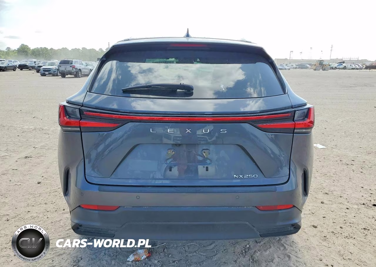 2025 Lexus Nx 250 Premium VIN:2T2GDCAZ1SC028993 - 6