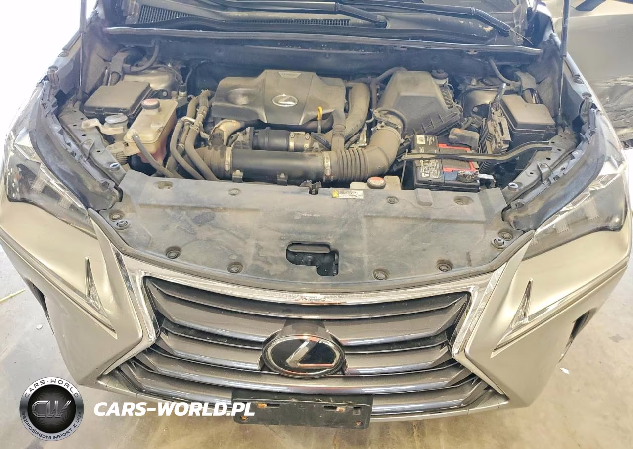 2015 Lexus Nx 200T VIN:JTJBARBZ7F2043489 - 12