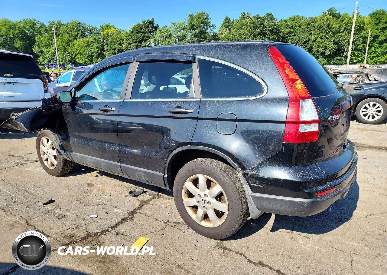 2011 Honda Cr-V Se VIN:5J6RE4H47BL100146 - 2
