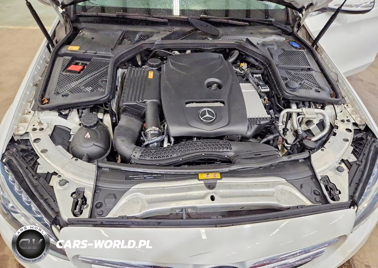 2015 Mercedes-Benz C 300 4Matic VIN:55SWF4KB8FU095267 - 11