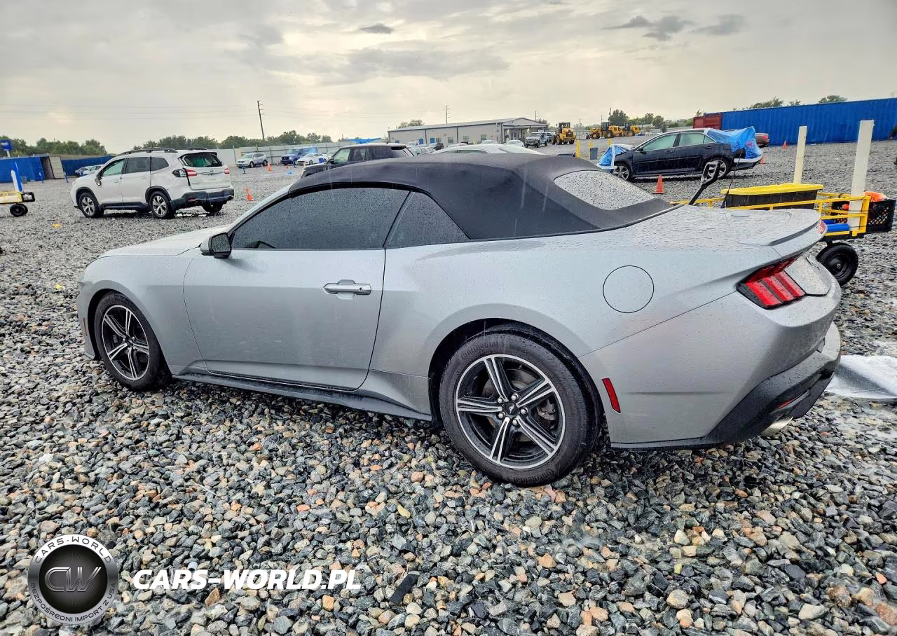 2024 Ford Mustang VIN:1FAGP8UH4R5125291 - 2