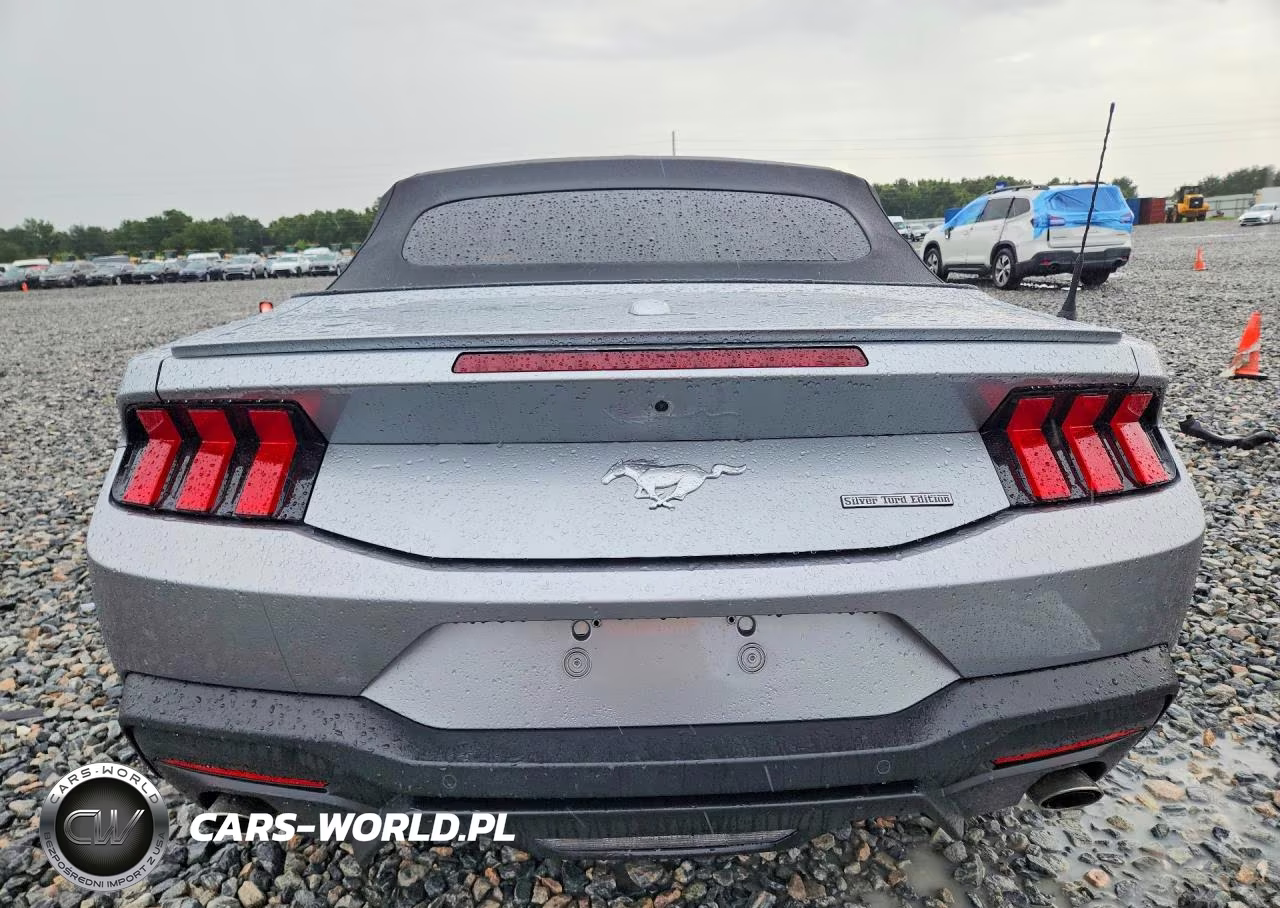 2024 Ford Mustang VIN:1FAGP8UH4R5125291 - 6