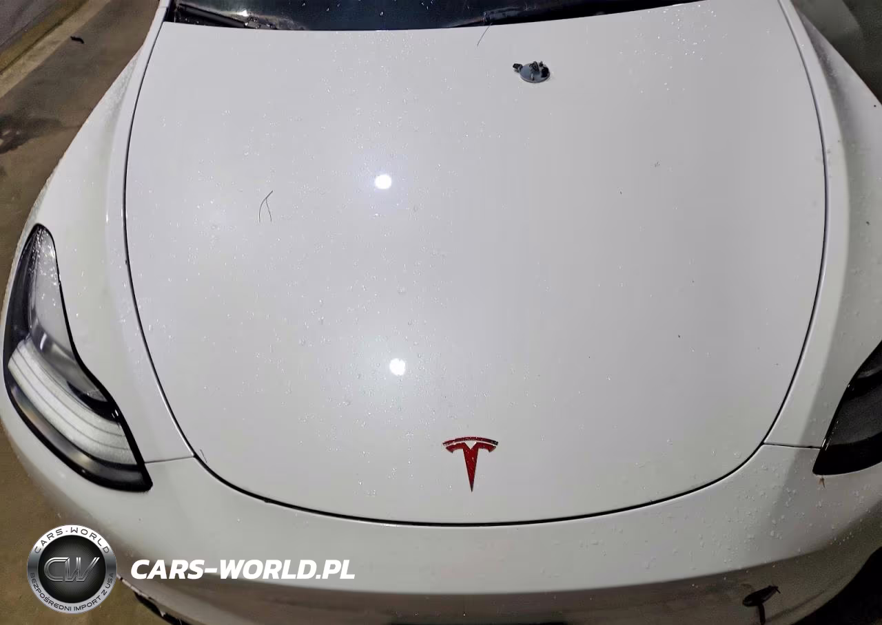 2021 Tesla Model Y VIN:5YJYGDEE2MF191017 - 11