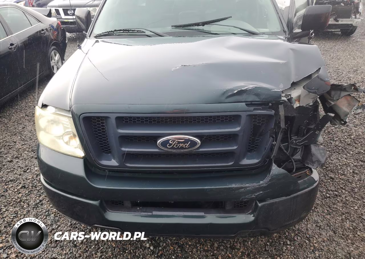 2005 Ford F150 VIN:1FTRF12275NB87855 - 11