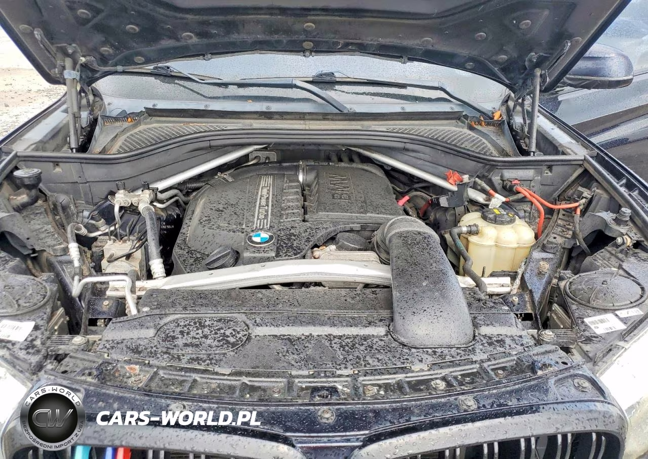 2016 BMW X6 xDrive35I VIN:5UXKU2C54G0N81964 - 12